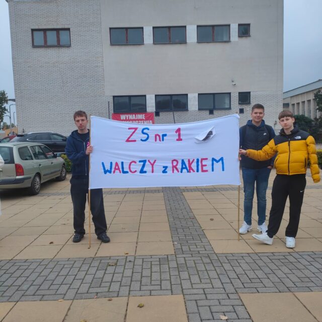 Marsz Różowej Wstążki w Puławach