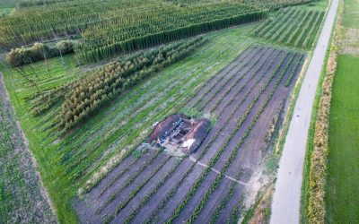 Muzeum Nadwiślańskie przejmuje kolejne słowiańskie grodzisko