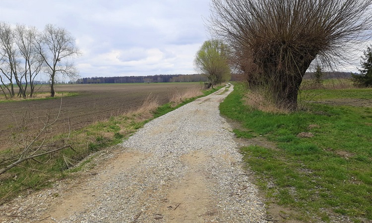 W gminie Puławy przybędzie lokalnych dróg
