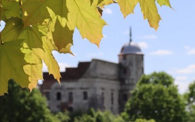 Jest winnica, będzie muzeum uprawy winnej latorośli – w Janowcu