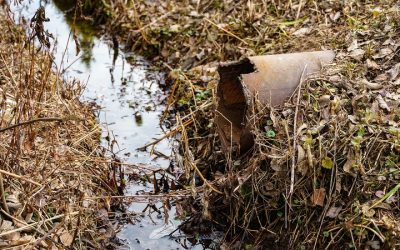 Przykre zapachy w Zwoleniu – potrzebna nowa oczyszczalnia ścieków