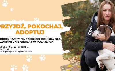 „Przyjdź, pokochaj, adoptuj” – pomóż bezdomnym czworonogom z Puław!